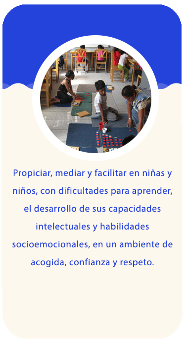 Misión Caritas Felices María